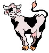 Holy Cow