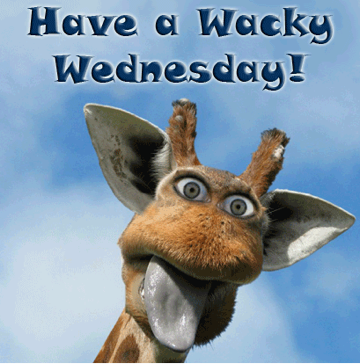 Wednesdays